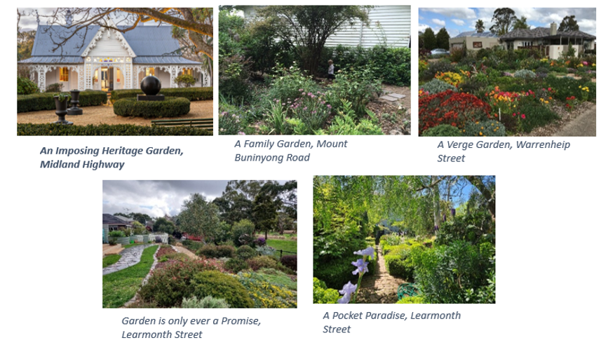 2025 garden details